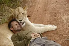 the lion whisperer3.webp