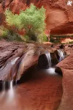 coyote falls Utah.webp