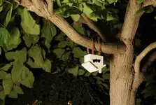 bat-house-in-tree.webp