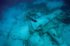 freediver-over-the-airplane-wreck-in-the-bahamas.jpg