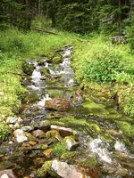 High Mountain stream.webp