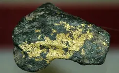 Gold_&_roscoelite_(Stuckslacker_Mine,_Coloma,_California,_USA)_(16562912783).webp