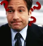 mulder Kopie.webp