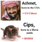 Achmet.webp