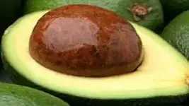 Avocado 1.webp