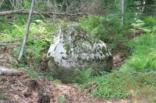 Granite boulder.webp