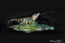 florida-wildlife-series-body-painting-art-shannon-holt-2.webp