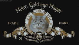 MGM Kitty 1.gif