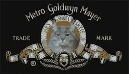 MGM Kitty.webp