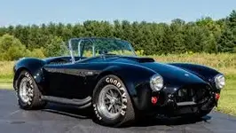 Shelby 2.webp