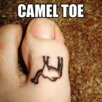 e3c851ea9ceab0aeefb86b5473113ae8--camels-toe.jpg