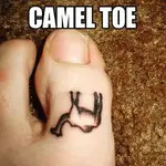 e3c851ea9ceab0aeefb86b5473113ae8--camels-toe.webp