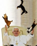 cat_juggling_pope_2.jpg