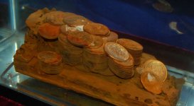 sunken-gold-coins.jpg