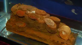 sunken-gold-coins.webp