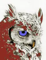 owl-2.webp