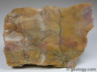 quartz-silicified-wood-509.jpg