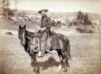 Cowboy_1887_ws.jpg