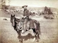 Cowboy_1887_ws.webp