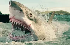 the-shallows-shark.webp