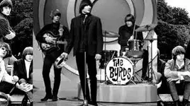 Byrds.webp