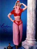 Barbara-Eden-as-Jeannie-i-dream-of-jeannie-6161331-377-500.webp