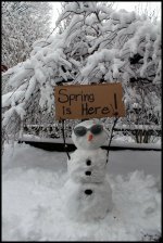 SPRING IS HERE snowman.jpg