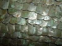 250px-Roman_scale_armour_detail.JPG