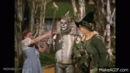 tin man.gif