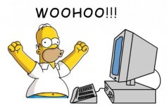 homer-computer-woohoo.jpg