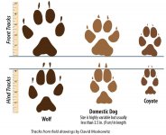 TrackSizeComparison.jpg