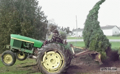 2018.02.11 - Tree beats tractor driver.gif