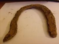 horse shoe.webp