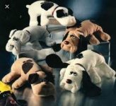 pound puppies.jpg