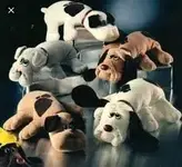 pound puppies.webp