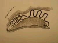 Great serpent mound2.jpg