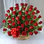 roses a.webp