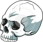 SKULL Q.webp