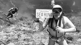 Sea Hunt 2.webp