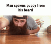 Puppy from beard.gif