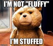 I'm not fluffy I'm stuffed.jpg