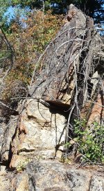 20150723_095911 skull with hat.jpg