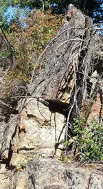 20150723_095911 skull with hat.webp