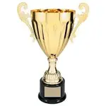 trophy.webp