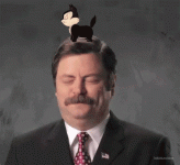 kitten on mans head.gif