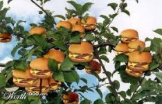 Burgertree.jpg