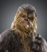 Chewy.webp