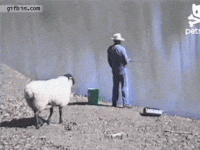 ram b.gif