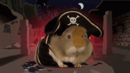 Pirate Guinea Pig.gif