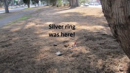 2 merc dimes & a silver ring 003.JPG